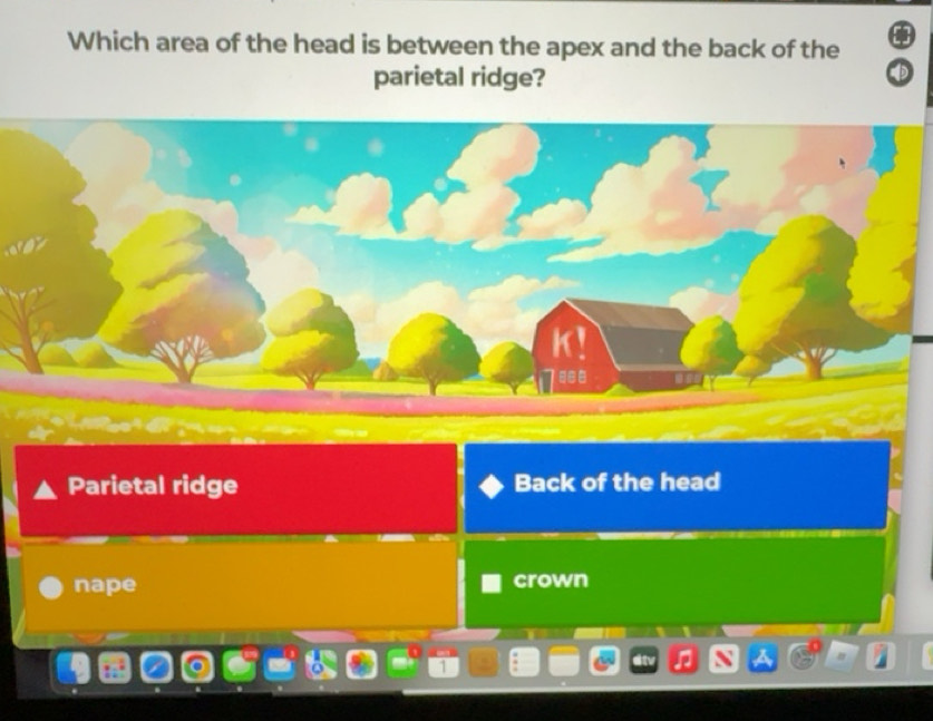 Solved: Which area of the head is between the apex and the back of the ...