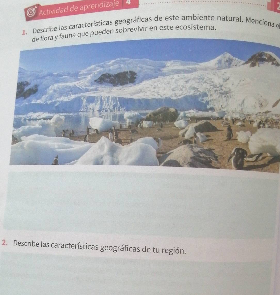 Actividad de aprendizaje 4 
1. Describe las características geográficas de este ambiente natural. Menciona el 
pueden sobrevivir en este ecosistema. 
2. Describe las características geográficas de tu región.