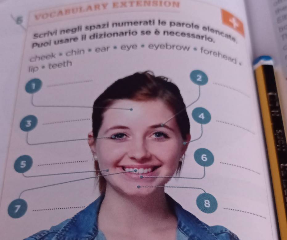 VOCÁBULARY EXTENSION 
ab 
the 
Scrivi negli spazi numerati le parole elencate 
Puoi usare il dizionario se è necessario. 
cheek « chin * ear * eye = eyebrow * forehead » 
lip = teeth 
2 
1 
_ 
_ 
_ 
_ 
_ 
4 
3 
_ 
_ 
6 
5 
_ 
_7 
_ 
8