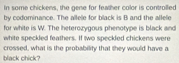 In some chickens, the gene for feather color is controlled 
by codominance. The allele for black is B and the allele 
for white is W. The heterozygous phenotype is black and 
white speckled feathers. If two speckled chickens were 
crossed, what is the probability that they would have a 
black chick?