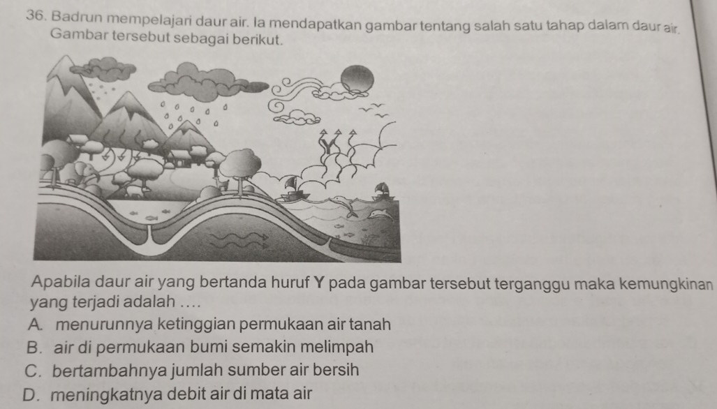 Badrun mempelajari daur air. Ia mendapatkan gambar tentang salah satu tahap dalam daur air.
Gambar tersebut sebagai berikut.
Apabila daur air yang bertanda huruf Y pada gambar tersebut terganggu maka kemungkinan
yang terjadi adalah ...
A. menurunnya ketinggian permukaan air tanah
B. air di permukaan bumi semakin melimpah
C. bertambahnya jumlah sumber air bersih
D. meningkatnya debit air di mata air