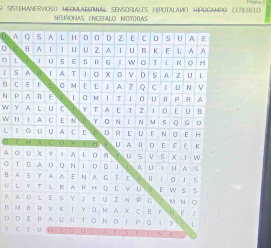 Página 1 
O SISTEMANERVIOSO MEDULAESPINAL SENSORIALES HIPOTALAMO HIPOCAMPO CEREBELO 
NEURONAS ENCEFALO MOTORAS 
0 
0 
B 
N 
W 
W 
L 
0 
A 
O 
B 
U 
A 
B 
O 
Y