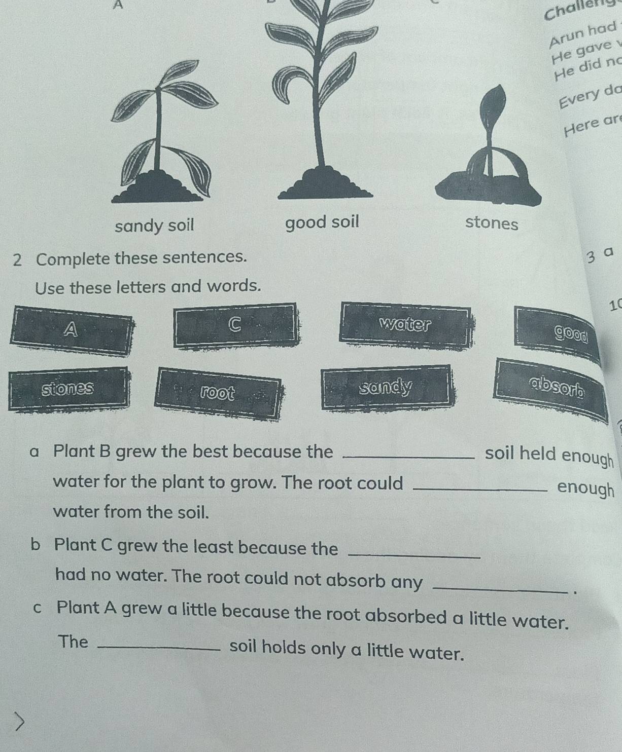 A
Challery
Arun had
He gave 
He did no
Every da
Here ar
sandy soil good soil stones
2 Complete these sentences.
3 a
Use these letters and words.
10
A
1
water
good
stones root sandy
absorb
a Plant B grew the best because the _soil held enough
water for the plant to grow. The root could_
enough
water from the soil.
b Plant C grew the least because the_
had no water. The root could not absorb any_
、
c Plant A grew a little because the root absorbed a little water.
The _soil holds only a little water.