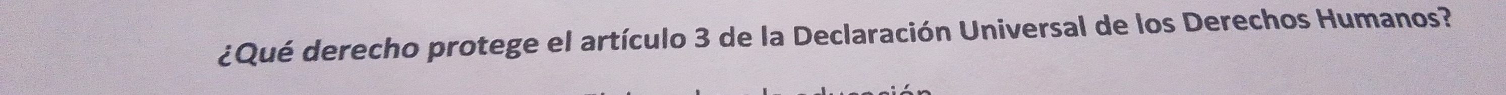 ¿Qué derecho protege el artículo 3 de la Declaración Universal de los Derechos Humanos?