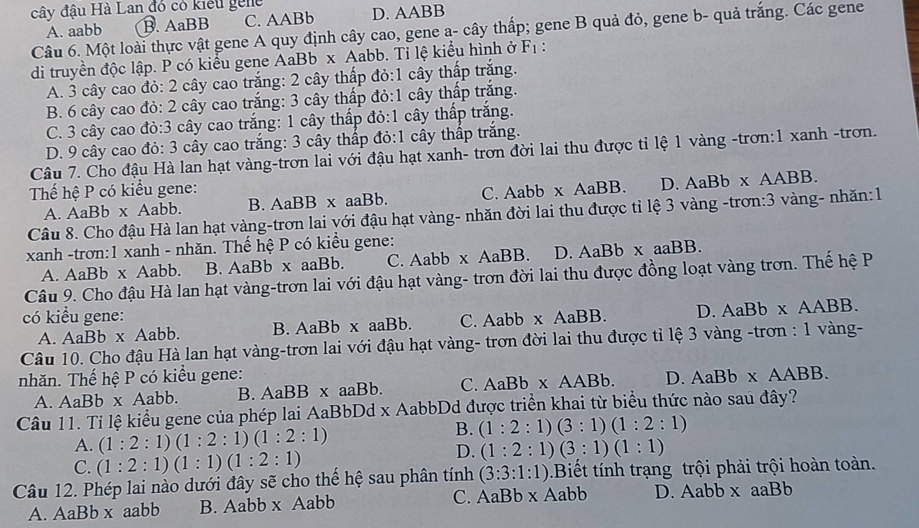 cây đậu Hà Lan đó có kiểu gele
A. aabb B. AaBB C. AABb D. AABB
Câu 6. Một loài thực vật gene A quy định cây cao, gene a- cây thấp; gene B quả đỏ, gene b- quả trắng. Các gene
di truyền độc lập. P có kiểu gene AaBb x Aabb. Tỉ lệ kiểu hình ở a F_1 18
A. 3 cây cao đỏ: 2 cây cao trắng: 2 cây thấp đỏ:1 cây thấp trắng.
B. 6 cây cao đỏ: 2 cây cao trắng: 3 cây thấp đỏ:1 cây thấp trắng.
C. 3 cây cao đỏ:3 cây cao trắng: 1 cây thấp đỏ:1 cây thấp trắng.
D. 9 cây cao đỏ: 3 cây cao trắng: 3 cây thấp đỏ:1 cây thấp trắng.
Câu 7. Cho đậu Hà lan hạt vàng-trơn lai với đậu hạt xanh- trơn đời lai thu được tỉ lệ 1 vàng -trơn:1 xanh -trơn.
Thế hệ P có kiểu gene: C. Aabb xAaBB. D、 AaBb* AAB B.
A. AaBb x Aabb. B. AaBB x aaBb.
Câu 8. Cho đậu Hà lan hạt vàng-trơn lai với đậu hạt vàng- nhăn đời lai thu được tỉ lệ 3 vàng -trơn:3 vàng- nhăn:1
xanh -trơn:1 xanh - nhăn. Thế hệ P có kiểu gene:
A. AaBb x Aabb. B. AaBb x aaBb. C. Aabb x Aa BB D. AaBb* aaBB.
Câu 9. Cho đậu Hà lan hạt vàng-trơn lai với đậu hạt vàng- trơn đời lai thu được đồng loạt vàng trơn. Thế hệ P
có kiểu gene: b xAaBB.
A. AaBb x Aabb. B. AaBb xaaBb C. Aab D. AaBb* AABB
Câu 10. Cho đậu Hà lan hạt vàng-trơn lai với đậu hạt vàng- trơn đời lai thu được tỉ lệ 3 vàng -trơn : 1 vàng-
nhăn. Thế hệ P có kiểu gene: D. AaBb* AABB
A. AaBb* Aabb. B. AaBB x aaBb. C. AaBb* AABb.
Câu 11. Tỉ lệ kiểu gene của phép lai AaBbDd x AabbDd được triển khai từ biểu thức nào sau đây?
A. (1:2:1)(1:2:1)(1:2:1)
B. (1:2:1)(3:1)(1:2:1)
C. (1:2:1)(1:1)(1:2:1)
D. (1:2:1)(3:1)(1:1)
Câu 12. Phép lai nào dưới đây sẽ cho thế hệ sau phân tính (3:3:1:1) Biết tính trạng trội phải trội hoàn toàn.
C. AaBb x Aabb D. Aabb x aaBb
A. AaBb x aabb B. Aabb x Aabb