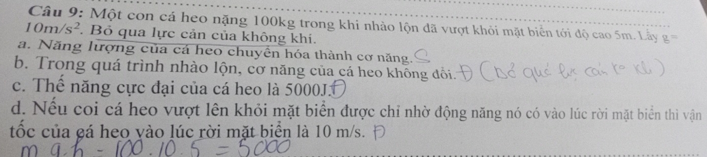 Một con cá heo nặng 100kg trong khi nhào lộn đã vượt khỏi mặt biển tới độ cao 5m. Lấy g=
10m/s^2. Bỏ qua lực cản của không khí.
a. Năng lượng của cá heo chuyền hóa thành cơ năng.
b. Trong quá trình nhào lộn, cơ năng của cá heo không đổi.
c. Thể năng cực đại của cá heo là 5000J.
d. Nếu coi cá heo vượt lên khỏi mặt biển được chỉ nhờ động năng nó có vào lúc rời mặt biển thì vận
tốc của cá heo vào lúc rời mặt biển là 10 m/s.