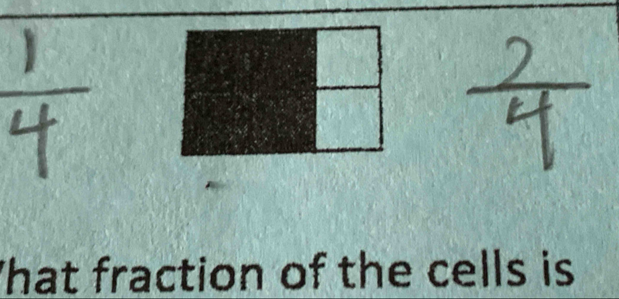 That fraction of the cells is