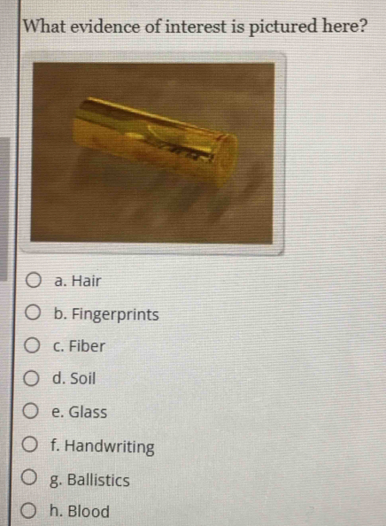 What evidence of interest is pictured here?
a. Hair
b. Fingerprints
c. Fiber
d. Soil
e. Glass
f. Handwriting
g. Ballistics
h. Blood