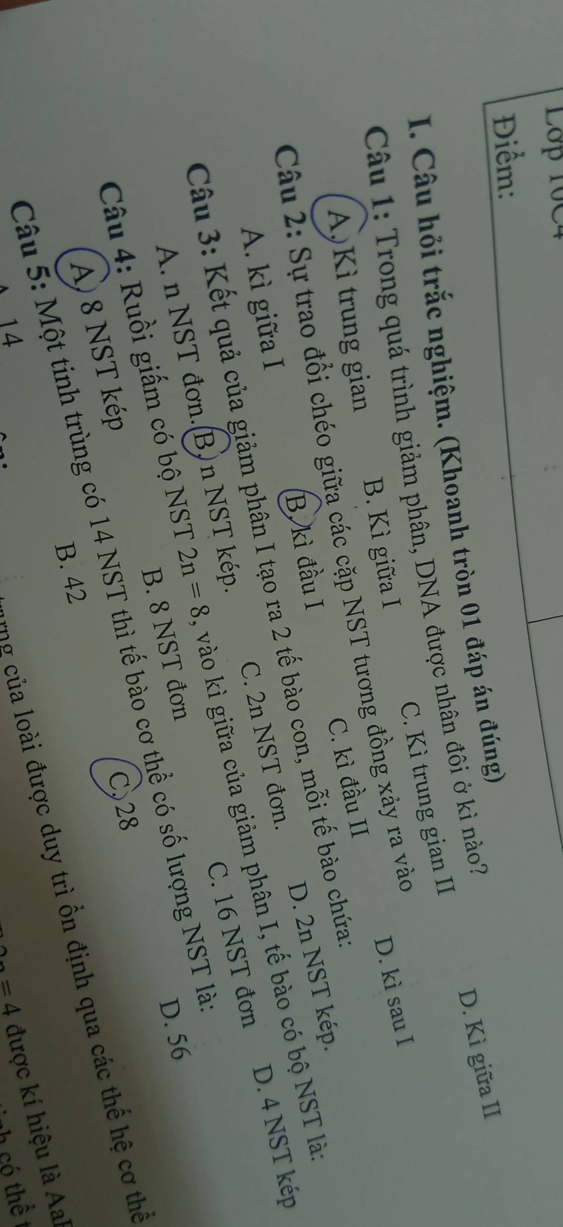 Lớp 10C4
Điểm
I. Câu hỏi trắc nghiệm. (Khoanh tròn 01 đáp án đúng)
C. Kì trung gian II D. Kì giữa II
Câu 1: Trong quá trình giảm phân, DNA được nhân đôi ở kì nào?
A,Kì trung gian B. Kì giữa I
D. kì sau I
Câu 2: Sự trao đổi chéo giữa các cặp NST tương đồng xảy ra vào
A. kì giữa I B. kì đầu I C. kì đầu II
D. 4 NST kép
Câu 3: Kết quả của giảm phân I tạo ra 2 tế bào con, mỗi tế bào chứa
A. n NST đơn.(B) n NST kép. C. 2n NST đơn. D. 2n NST kép.
Câu 4: Ruồi giấm có bộ NST 2n=8 vào kì giữa của giảm phân I, tế bào có bộ NST là
B. 8 NST đơn C. 16 NST đơn
D. 56
Câu 5: Một tinh trùng có 14 NST thì tế bào cơ thể có số lượng NST là
A) 8 NST kép
C, 28
B. 42
* ng của loài được duy trì ồn định qua các thế hệ cơ thể
14 2n=4 được kí hiệu là Aal
th có thể
