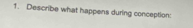 Describe what happens during conception: