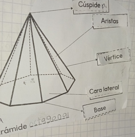 Cúspide 
rámide