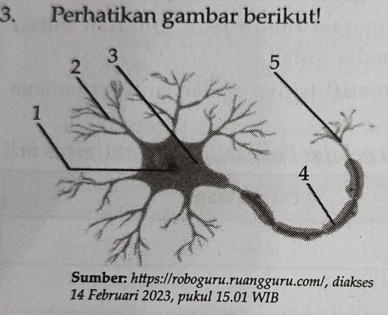 Perhatikan gambar berikut! 
Sumber: https://roboguru.ruangguru.com/, diakses 
14 Februari 2023, pukul 15.01 WIB