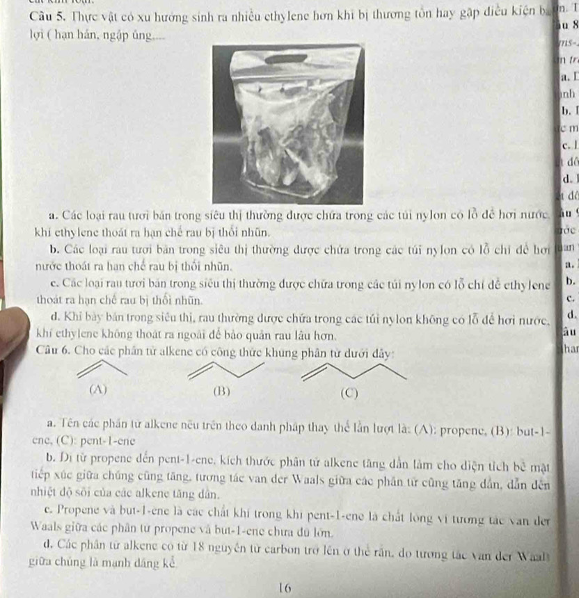 Thực vật có xu hướng sinh ra nhiều ethylene hơn khi bị thương tồn hay gập điều kiện bahn. T
u 8
lợi ( hạn hán, ngập ủng....
mS=
in tr
a. L
inh
b. I
c m
c. l
ut dô
d.
t độ
a. Các loại rau tưới bán trong siêu thị thường được chứa trong các túi nylon có lỗ để hơi nước àu 
khi ethylene thoát ra hạn chế rau bị thổi nhũn. đớc
b. Các loại rau tưới bản trong siêu thị thường được chứa trong các túi nylon có lỗ chỉ đề hơi an
nước thoát ra han chế rau bị thối nhũn.
a.
e. Các loại rau tươi bản trong siêu thị thường được chữa trong các túi nylon có lỗ chỉ đề ethylene b.
thoát ra hạn chế rau bị thổi nhũn.
c.
d. Khi bày bản trong siêu thị, rau thường được chứa trong các túi nylon không có lỗ để hơi nước. d.
khí ethylene không thoát ra ngoài để bảo quản rau lâu hơn.
àu
Câu 6. Cho các phân từ alkene có công thức khung phân từ dưới đây: har
(A) (C)
a. Tên các phần từ alkene nếu trên theo danh pháp thay thể lần lượt là: (A): propene, (B): but-1-
ene, (C): pent-1-ene
b. Di từ propene đến pent-1-ene, kích thước phân tử alkene tăng dẫn làm cho diện tích bê mật
tiếp xúc giữa chúng cũng tăng, tương tác van der Waals giữa các phần tử cũng tăng dần, dẫn đến
nhiệt độ sối của các alkene tăng dân.
c. Propene và but-1-ene là các chất khí trong khi pent-1-ene là chất lóng vi tương tác van der
Waals giữa các phân từ propene và but-1-ene chưa dũ lớn.
d. Các phân từ alkene có từ 18 nguyên từ carbon trở lên ở thể rần, do tương tác van der Waal
giữa chúng là mạnh dáng kể
16