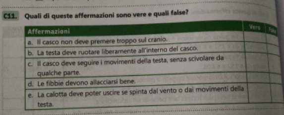 C11. Quali di queste affermazioni sono vere e quali false?