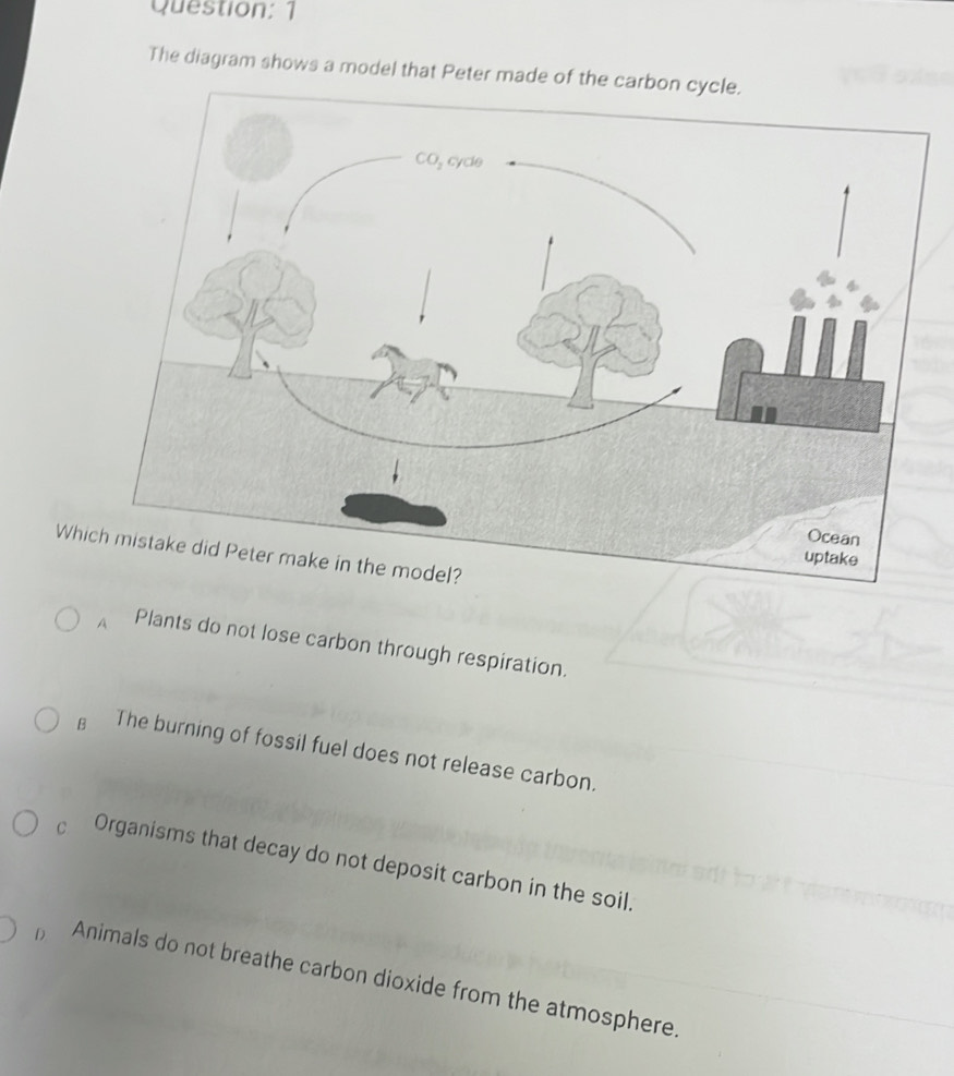 Solved: The diagram shows a model that Peter made of the carbon cycle ...