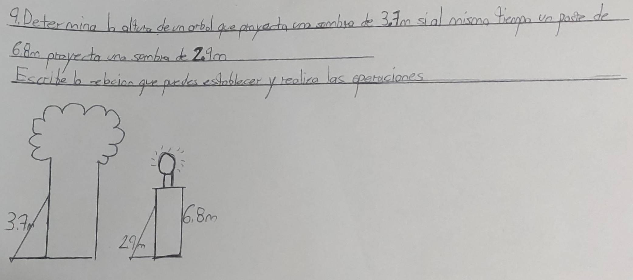 Determing b offeto de vn orbod ge prayecta cno sombro de 3: 7m sial misma trempo ve paste de 
6. Bm propecta wna sombra de 2.9m
Escride b rebcian gve pardes exhobloceryrealiva las operaciones 
3
6. 8m
h