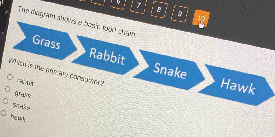 Solved: 7 8 9 10 The diagram shows a basic food chain. Grass Rabbit ...