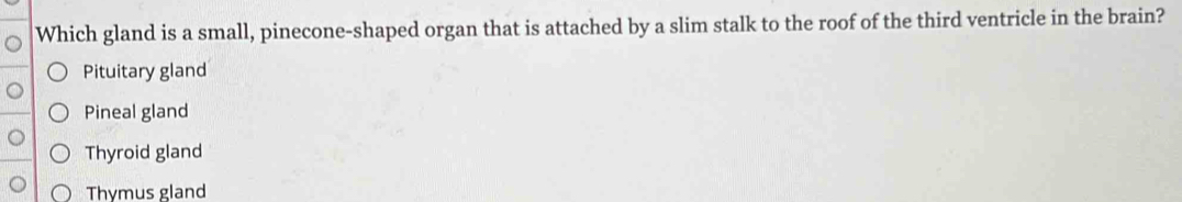 Which gland is a small, pinecone-shaped organ that is attached by a slim stalk to the roof of the third ventricle in the brain?
Pituitary gland
Pineal gland
Thyroid gland
Thymus gland