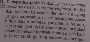 Terdapat dua spesiesikan babi,yaitu Anisotremus 
tœeniatus dan Anisotremus virginicus. Kedua 
ikan tersebut berevolusi dari nenek moyang 
yang sama. Awalnya, nenek moyang keduanya 
hidup dalam populasi yang sama. Namun, 
saat tanah genting Panama muncul, populasi 
tersebut menjadi terpisah. Populasi ikan babi 
di barat tanah genting berevolusi menjadi