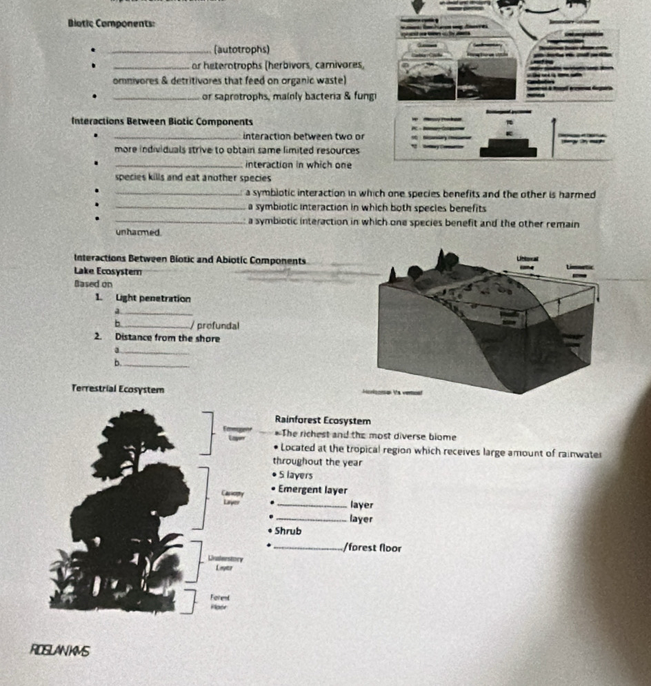 Botic Camponents: 
_(autotrophs) 
_or heterotrophs (herbivors, carnivores, 
omnivores & detritivores that feed on organic waste) 
_or saprotrophs, mainly bacteria & fungi 
Interactions Between Biotic Components 
_interaction between two or 
more individuals strive to obtain same limited resources 
_interaction in which one 
species kills and eat another species 
_a symbiotic interaction in which one species benefits and the other is harmed 
_a symbiotic interaction in which both species benefits 
_a symbiotic interaction in which one species benefit and the other remain 
unharmed. 
Interactions Between Biotic and Abiotic Components 
Lake Ecosystem 
Based on 
1. Light penetration 
a._ 
b_ profundal 
2. Distance from the shore 
_a 
b._ 
Terrestrial Ecosystem 
Rainforest Ecosystem 
* The richest and the most diverse biome 
Located at the tropical region which receives large amount of rainwater 
throughout the year
S layers 
Emergent layer 
_layer 
_layer 
Shrub 
_/forest floor 
ROSLANKMS