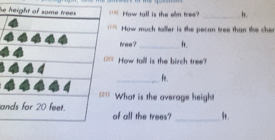 Solved: he! How tall is the elm tree? _h ? How much taller is the pecan ...