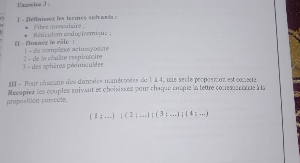 Définissez les termes suivants : 
34 Fibre musculaire ; 
| 
Réticulum endoplasmique ; 
II - Donnez le rôle : 
1 - du complexe actomyosine 
2 - de la chaîne respiratoire 
3 - des sphères pédonculées 
III - Pour chacune des données numérotées de 1 à 4, une seule proposition est correcte. 
Recopiez les couples suivant et choisissez pour chaque couple la lettre correspondante à la 
proposition correcte.
(1;...);(2;...);(3;...);(4;...)