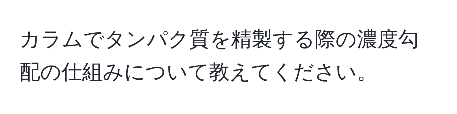 カラムでタンパク質を精製する際の濃度勾配の仕組みについて教えてください。