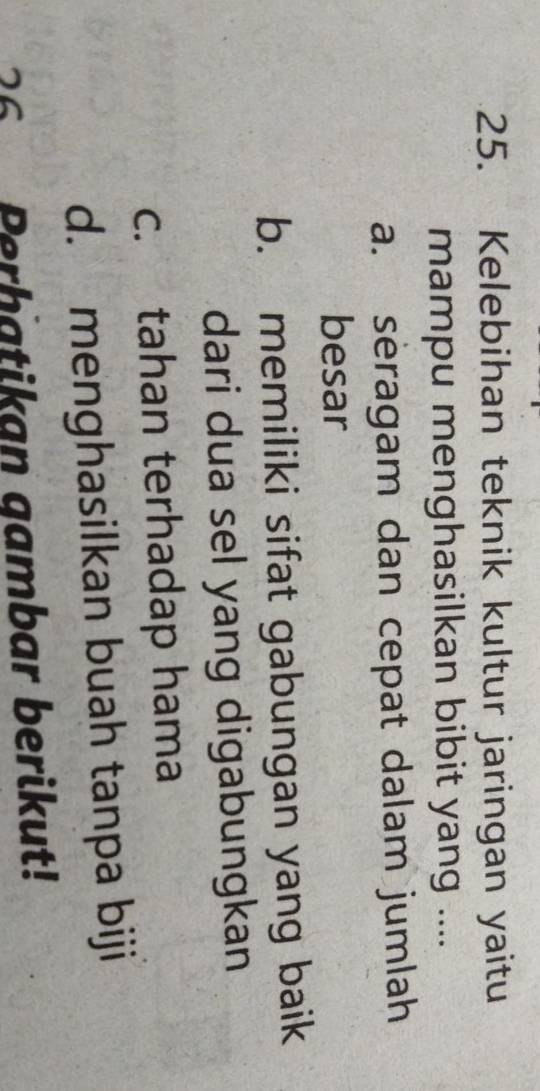 Kelebihan teknik kultur jaringan yaitu
mampu menghasilkan bibit yang ....
a. seragam dan cepat dalam jumlah
besar
b. memiliki sifat gabungan yang baik
dari dua sel yang digabungkan
c. tahan terhadap hama
d. menghasilkan buah tanpa biji
26 Perhatikan gambar berikut!