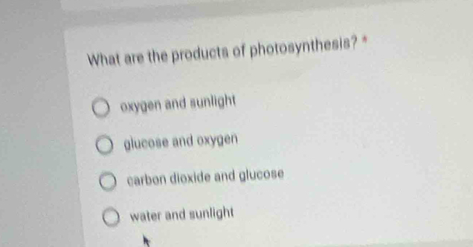 What are the products of photosynthesis? *
oxygen and sunlight
glucose and oxygen
carbon dioxide and glucose
water and sunlight