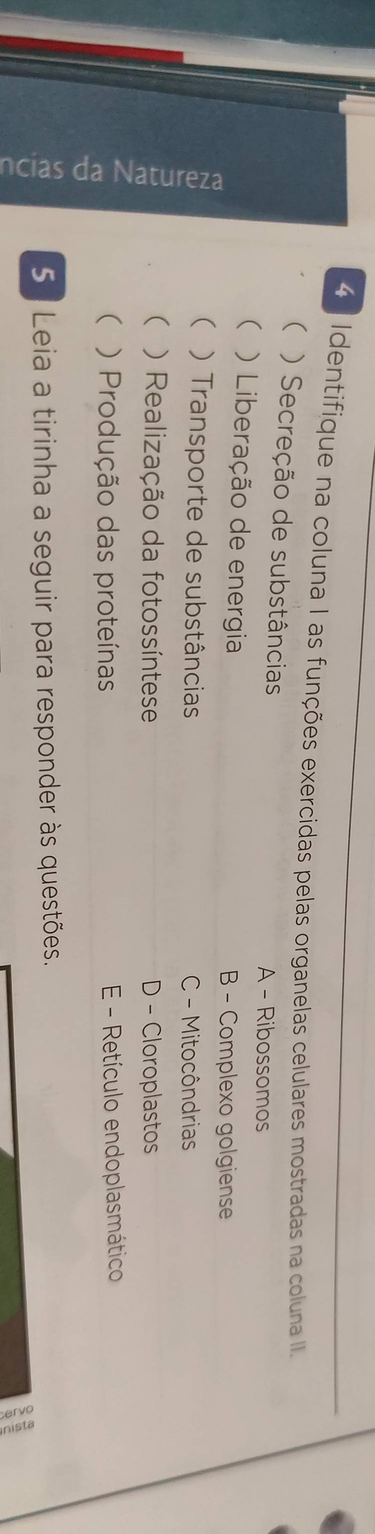 Identifique na coluna I as funções exercidas pelas organelas celulares mostradas na coluna II.
( ) Secreção de substâncias
A - Ribossomos
( ) Liberação de energia B - Complexo golgiense
ζ
( ) Transporte de substâncias C - Mitocôndrias
( ) Realização da fotossíntese D - Cloroplastos
( ) Produção das proteínas E - Retículo endoplasmático
5 Leia a tirinha a seguir para responder às questões.