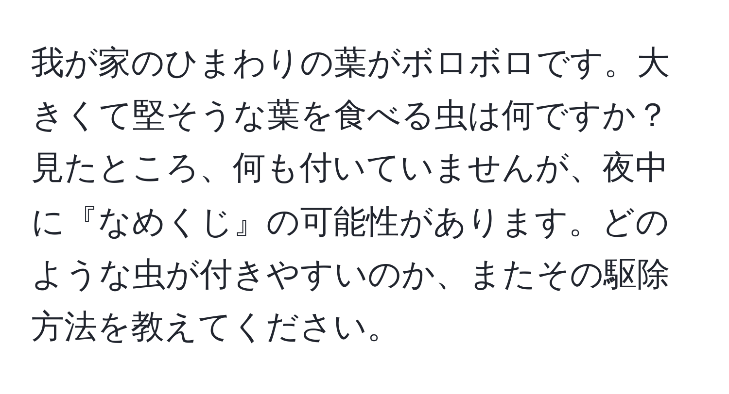 我が家のひまわりの葉がボロボロです。大きくて堅そうな葉を食べる虫は何ですか？見たところ、何も付いていませんが、夜中に『なめくじ』の可能性があります。どのような虫が付きやすいのか、またその駆除方法を教えてください。