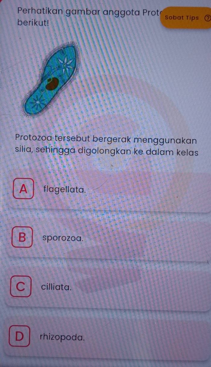 Perhatikan gambar anggota Prot Sobat Tips
berikut!
Protozoa tersebut bergerak menggunakan
silia, sehingga digolongkan ke dalam kelas
A flagellata.
B sporozoa.
C cilliata.
D rhizopoda.