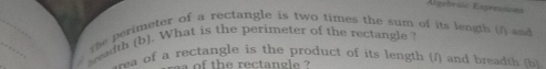 Algehraïc Espressioes 
he perimeter of a rectangle is two times the sum of its length (f) and 
weadth (b). What is the perimeter of the rectangle ? 
wea of a rectangle is the product of its length (/) and breadth 
a of the rectangle ?