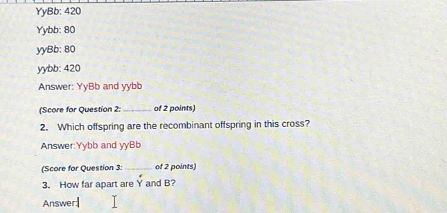 YyBb: 420
Yybb: 80
yyBb: 80
yybb: 420
Answer: YyBb and yybb 
(Score for Question 2: _of 2 points) 
2. Which offspring are the recombinant offspring in this cross? 
Answer:Yybb and yyBb 
(Score for Question 3: _of 2 points) 
3. How far apart are Y and B? 
Answer:|