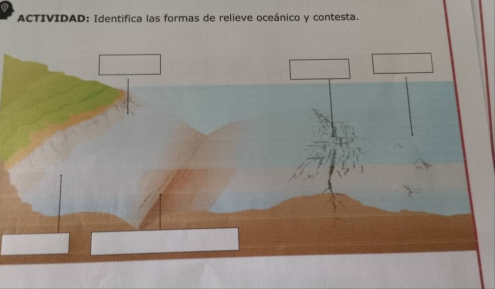 a 
ACTIVIDAD: Identifica las formas de relieve oceánico y contesta.