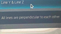 Line Y & Line Z
All lines are perpendicular to each other