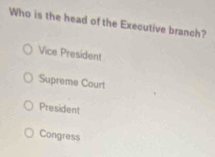 Who is the head of the Executive branch?
Vice President
Supreme Court
President
Congress