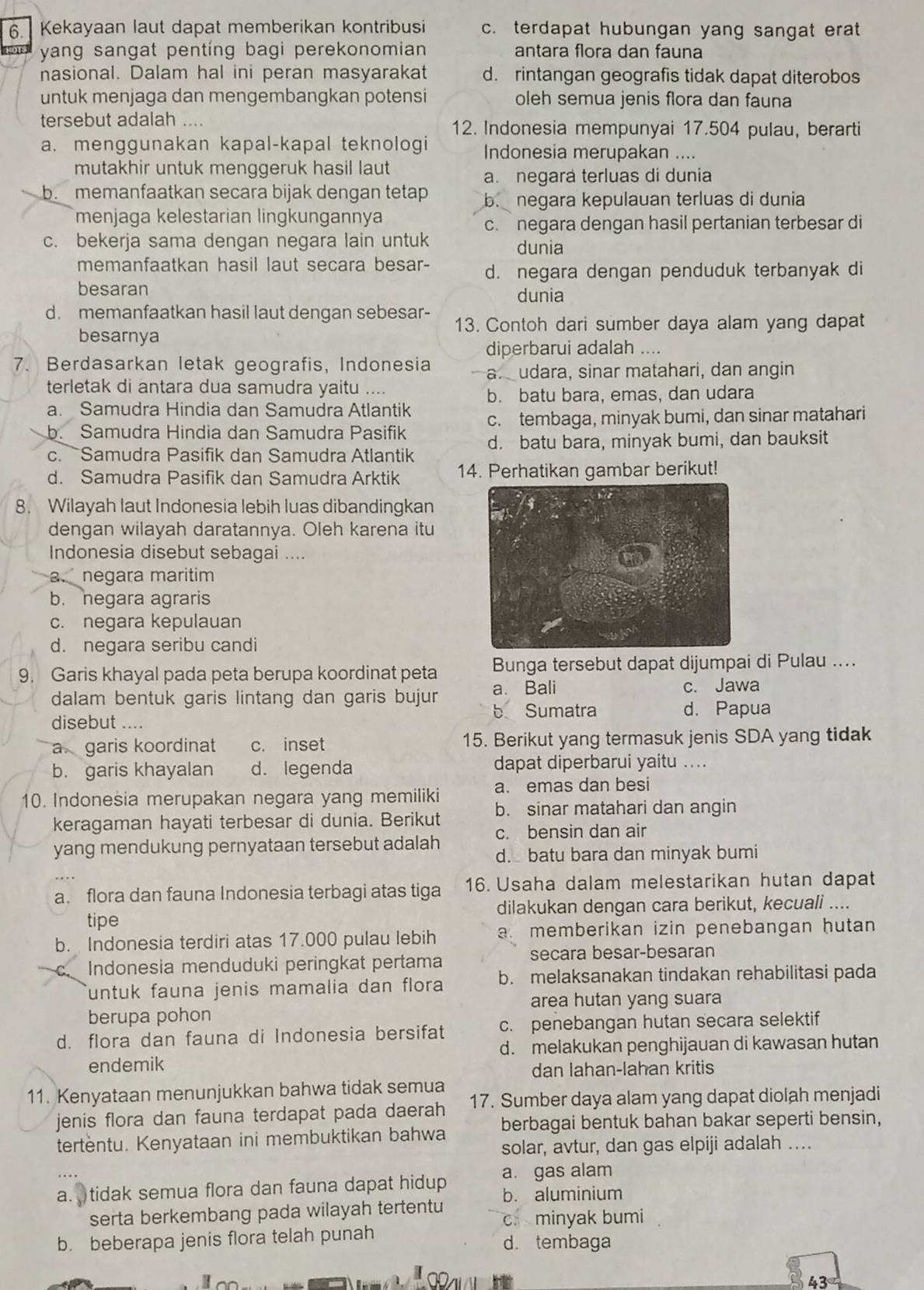 Kekayaan laut dapat memberikan kontribusi c. terdapat hubungan yang sangat erat
yang sangat pentíng bagi perekonomian antara flora dan fauna
nasional. Dalam hal ini peran masyarakat d. rintangan geografis tidak dapat diterobos
untuk menjaga dan mengembangkan potensi oleh semua jenis flora dan fauna
tersebut adalah .... 12. Indonesia mempunyai 17.504 pulau, berarti
a. menggunakan kapal-kapal teknologi Indonesia merupakan ....
mutakhir untuk menggeruk hasil laut
a. negara terluas di dunia
b. memanfaatkan secara bijak dengan tetap b. negara kepulauan terluas di dunia
menjaga kelestarian lingkungannya
c. negara dengan hasil pertanian terbesar di
c. bekerja sama dengan negara lain untuk dunia
memanfaatkan hasil laut secara besar- d. negara dengan penduduk terbanyak di
besaran dunia
d. memanfaatkan hasil laut dengan sebesar- 13. Contoh dari sumber daya alam yang dapat
besarnya
diperbarui adalah ....
7. Berdasarkan letak geografis, Indonesia a udara, sinar matahari, dan angin
terletak di antara dua samudra yaitu ....
b. batu bara, emas, dan udara
a. Samudra Hindia dan Samudra Atlantik
b. Samudra Hindia dan Samudra Pasifik c. tembaga, minyak bumi, dan sinar matahari
c.  Samudra Pasifik dan Samudra Atlantik d. batu bara, minyak bumi, dan bauksit
d. Samudra Pasifik dan Samudra Arktik 14. Perhatikan gambar berikut!
8. Wilayah laut Indonesia lebih luas dibandingkan
dengan wilayah daratannya. Oleh karena itu
Indonesia disebut sebagai ....
a. negara maritim
b. negara agraris
c. negara kepulauan
d. negara seribu candi
9. Garis khayal pada peta berupa koordinat peta a. Bali Bunga tersebut dapat dijumpai di Pulau ....
dalam bentuk garis lintang dan garis bujur c. Jawa
b Sumatra
disebut .... d. Papua
a garis koordinat c. inset 15. Berikut yang termasuk jenis SDA yang tidak
b. garis khayalan d. legenda dapat diperbarui yaitu ....
10. Indonesia merupakan negara yang memiliki a. emas dan besi
b. sinar matahari dan angin
keragaman hayati terbesar di dunia. Berikut c. bensin dan air
yang mendukung pernyataan tersebut adalah d. batu bara dan minyak bumi
a. flora dan fauna Indonesia terbagi atas tiga 16. Usaha dalam melestarikan hutan dapat
tipe dilakukan dengan cara berikut, kecuali ....
b. Indonesia terdiri atas 17.000 pulau lebih a. memberikan izin penebangan hutan
C Indonesia menduduki peringkat pertama secara besar-besaran
funtuk fauna jenis mamalia dan flora b. melaksanakan tindakan rehabilitasi pada
area hutan yang suara
berupa pohon
d. flora dan fauna di Indonesia bersifat c. penebangan hutan secara selektif
d. melakukan penghijauan di kawasan hutan
endemik
dan lahan-lahan kritis
11. Kenyataan menunjukkan bahwa tidak semua
jenis flora dan fauna terdapat pada daerah 17. Sumber daya alam yang dapat diolah menjadi
berbagai bentuk bahan bakar seperti bensin,
tertentu. Kenyataan ini membuktikan bahwa solar, avtur, dan gas elpiji adalah ...
a. gas alam
a.  tidak semua flora dan fauna dapat hidup b. aluminium
serta berkembang pada wilayah tertentu c. minyak bumi
b. beberapa jenis flora telah punah d. tembaga
43