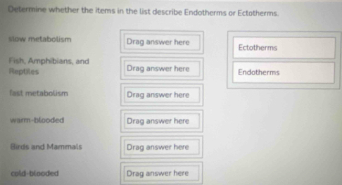 Determine whether the items in the list describe Endotherms or Ectotherms. 
slow metabolism Drag answer here Ectotherms 
Fish, Amphibians, and 
Reptiles Drag answer here Endotherms 
fast metabolism Drag answer here 
warm-blooded Drag answer here 
Birds and Mammals Drag answer here 
cold-blooded Drag answer here