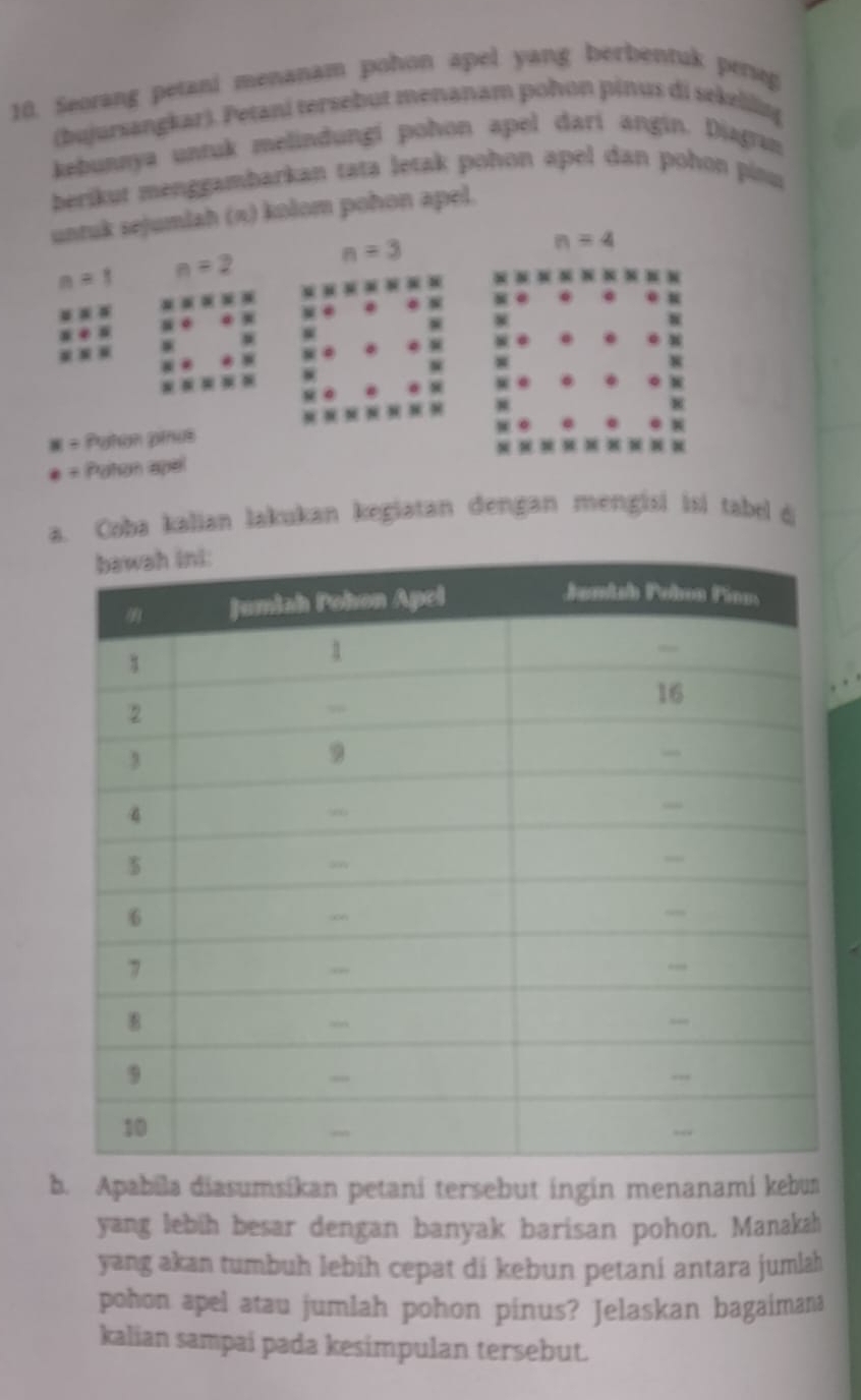 Seorang petani menanam pohon apel yang berbentuk perseg 
(bujursangkar). Petani tersebut menanam pohon pinus di sekelilitg 
kebunnya unruk melindungi pohon apel dari angin. Diagran 
berikut menggambarkan tata letak pohon apel dan pohon pinu 
untuk sejumlah (π) kolom pohon apel.
n=1 n=2 n=3
n=4
8
M= Patan pinus
a= Paton सpसl 
a. Coba kalian lakukan kegiatan dengan mengisi isi tabd d 
b. Apabila diasumsikan petani tersebut ingin menanami kebun 
yang lebih besar dengan banyak barisan pohon. Manakah 
yang akan tumbuh lebíh cepat di kebun petani antara jumlah 
pohon apel atau jumlah pohon pinus? Jelaskan bagaimana 
kalian sampai pada kesimpulan tersebut.