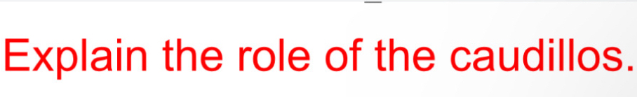 Explain the role of the caudillos.