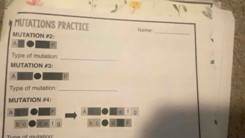 MUTATIONS PRACTICE Name: 
MUTATION #2: 
_ 
A F 
_ 
Type of mutation: 
MUTATION #3: 
A 31C F
Type of mutation:_ 
MUTATION #4: 
A a F A f 9 
b c d 0 g b c d F 
Tyne of mutation