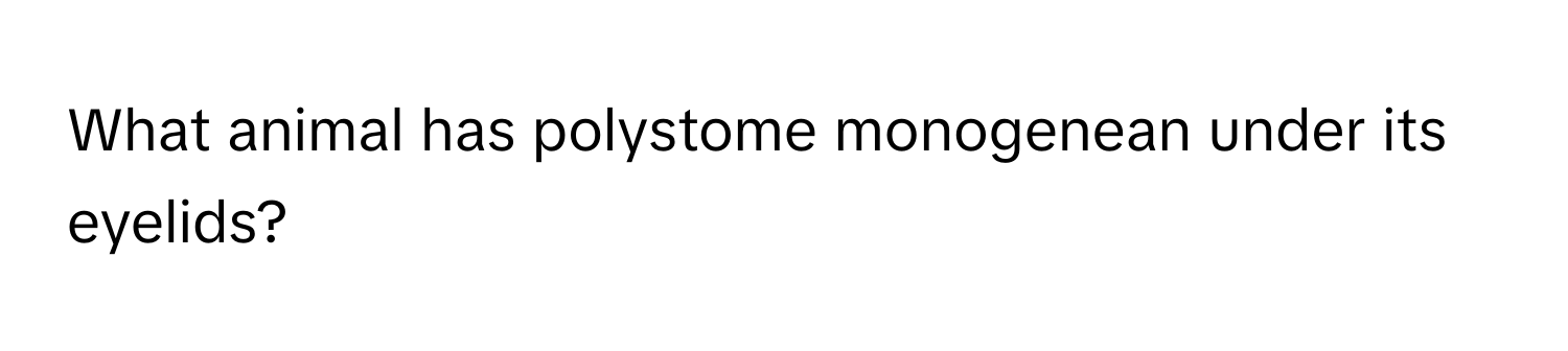 What animal has polystome monogenean under its eyelids?