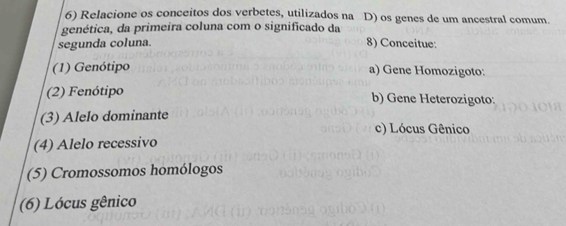 Relacione os conceitos dos verbetes, utilizados na D) os genes de um ancestral comum. 
genética, da primeira coluna com o significado da 
segunda coluna. 8) Conceitue: 
(1) Genótipo a) Gene Homozigoto: 
(2) Fenótipo b) Gene Heterozigoto: 
(3) Alelo dominante 
c) Lócus Gênico 
(4) Alelo recessivo 
(5) Cromossomos homólogos 
(6) Lócus gênico