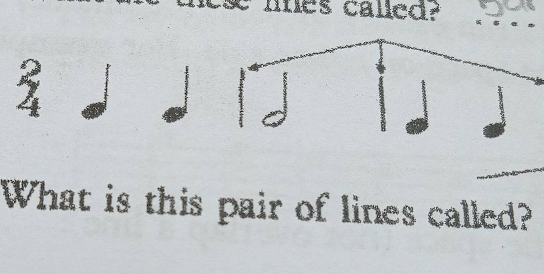 les called?_ 
What is this pair of lines called?