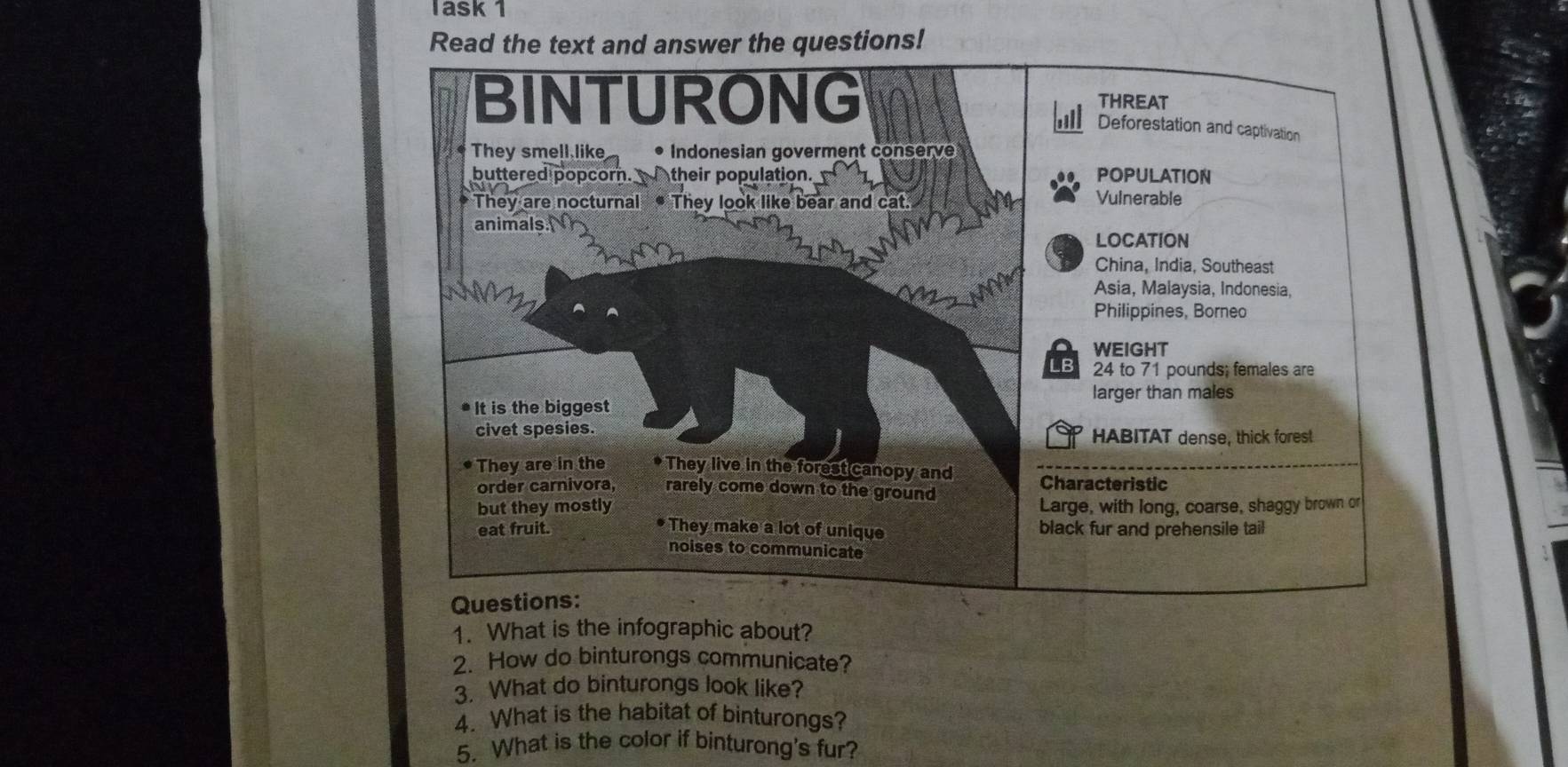 Task 1 
Read the text and answer the questions! 
BINTURONG THREAT 
Deforestation and captivation 
They smell like • Indonesian goverment conserve 
buttered popcorn.their population. POPULATION 
* They are nocturnal They look like bear and cat. Vulnerable 
animals 
LOCATION 
China, India, Southeast 
Asia, Malaysia, Indonesia, 
Philippines, Borneo 
WEIGHT 
LB 24 to 71 pounds; females are 
larger than males 
It is the biggest 
civet spesies. HABITAT dense, thick forest 
They are in the They live in the forest canopy and Characteristic 
order carnivora, rarely come down to the ground 
but they mostly Large, with long, coarse, shaggy brown or 
* They make a lot of unique 
eat fruit. black fur and prehensile tail 
noises to communicate 
Questions: 
1. What is the infographic about? 
2. How do binturongs communicate? 
3. What do binturongs look like? 
4. What is the habitat of binturongs? 
5. What is the color if binturong's fur?