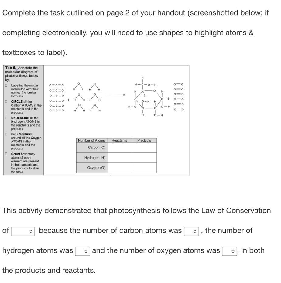 Complete the task outlined on page 2 of your handout (screenshotted below; if
completing electronically, you will need to use shapes to highlight atoms &
textboxes to label).
Tab 5,Annotate the
molecular diagram of
photosynthesis below
H
by:
□ Labeling the matter o=c=o 。
H
o=0
molecules with their o=c=o H H H C 。 H o=o
names & chemical
H
formulas o=c=o o=o
H
C
n CIRCLE all the o=c=o+H H H H C + o=o
O-H H
Carbon ATOMS in the o=c=o H-O C — H o=o
reactants and in the
products o=c=o H H H H
o=o
H 。
] UNDERLINE all the — H
Hydrogen ATOMS in
the reactants and the
products
□ Put a SQUARE
around all the Oxygen
ATOMS in the Number of Atoms Reactants Products
reactants and the
products Carbon (C)
Count how many
atoms of each Hydrogen (H)
element are present
in the reactants and
the products to fill-in Oxygen (O)
the table
This activity demonstrated that photosynthesis follows the Law of Conservation
of □° because the number of carbon atoms was □ ^circ  , the number of
hydrogen atoms was boxed 0 and the number of oxygen atoms was □ , in both
the products and reactants.