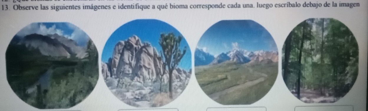 Observe las siguientes imágenes e identifique a qué bioma corresponde cada una. luego escríbalo debajo de la imagen