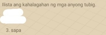 Ilista ang kahalagahan ng mga anyong tubig. 
3. sapa