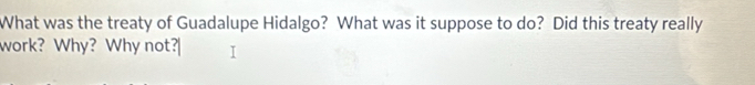 What was the treaty of Guadalupe Hidalgo? What was it suppose to do? Did this treaty really 
work? Why? Why not?|